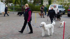 Wandlitz 2015 9